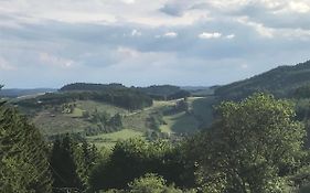 Bildstein'S 